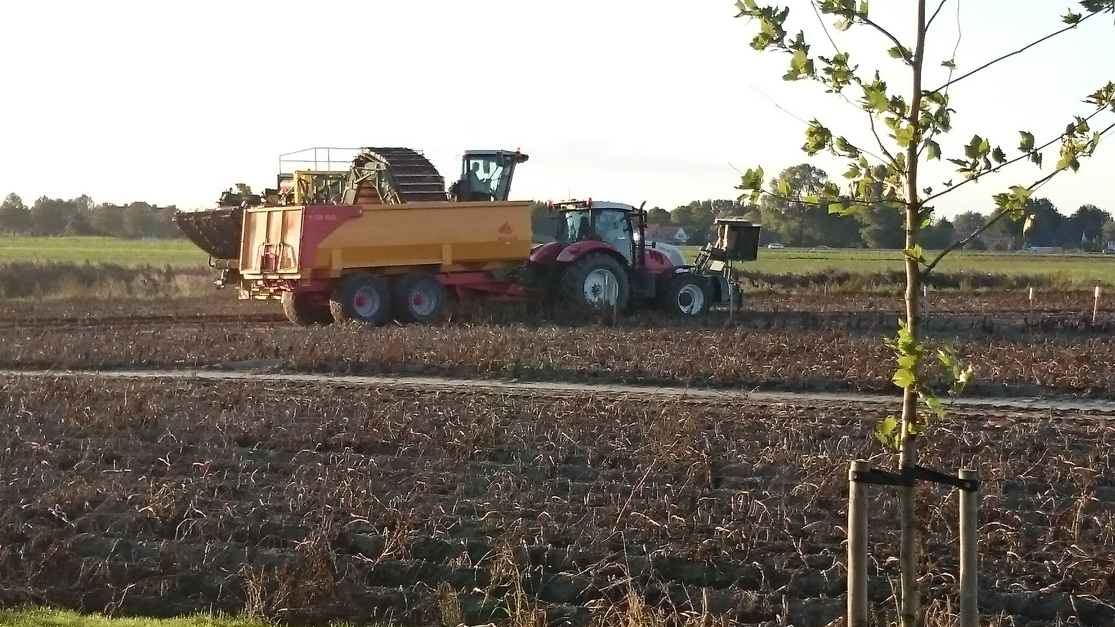 Landbouw seizoen 2015